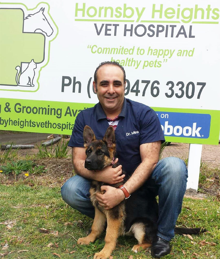 Vet Services in Hornsby